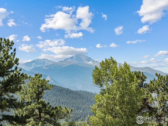 a view of a bunch of flowers