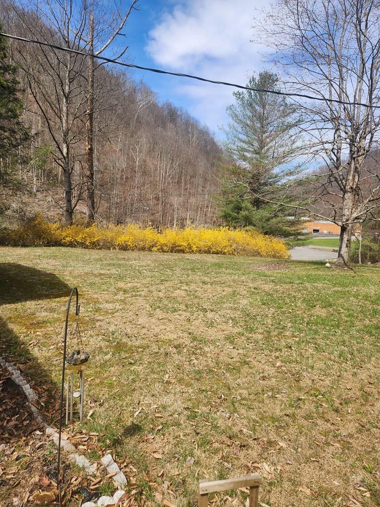 6532 Hurley Road Hurley, VA 24620 - Photo 12 of 14 Gallery Image 12