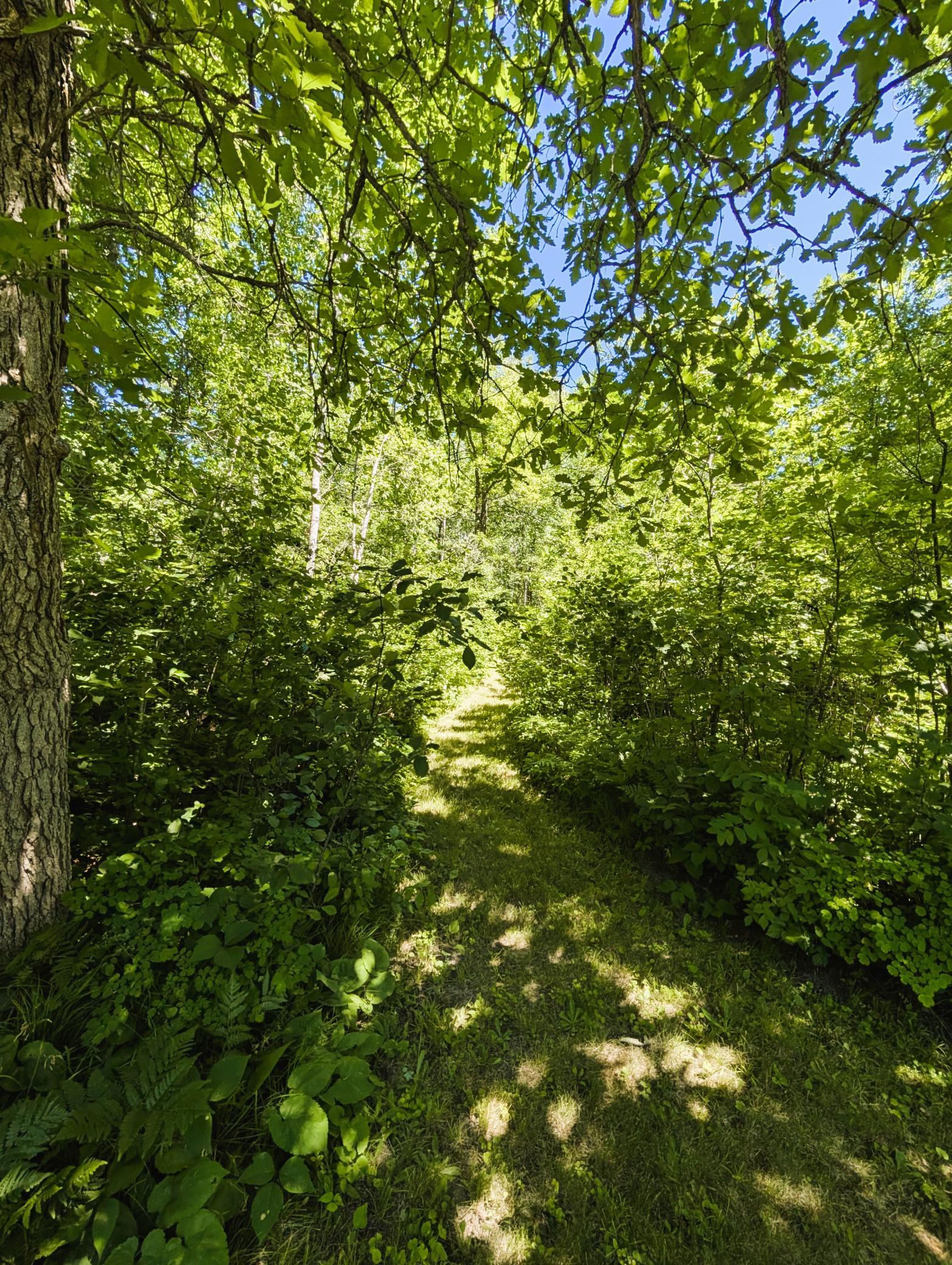 42683 County 3 Solway, MN 56678 - Photo 34 of 36