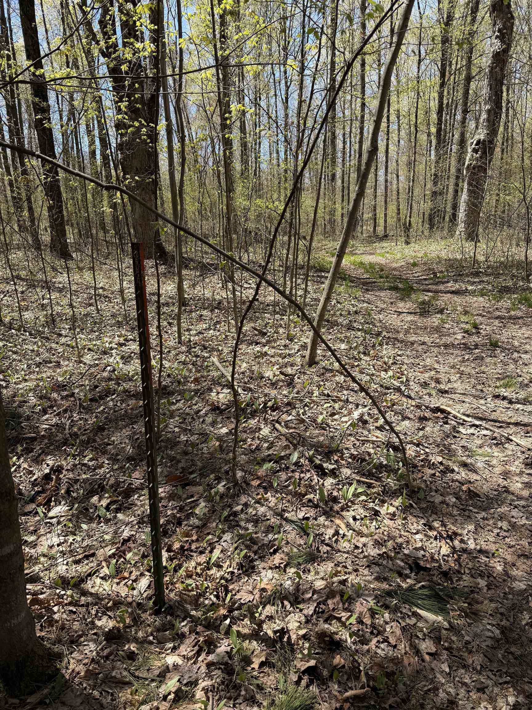 7274 South Forward Road McBain, MI 49657 - Photo 54 of 76