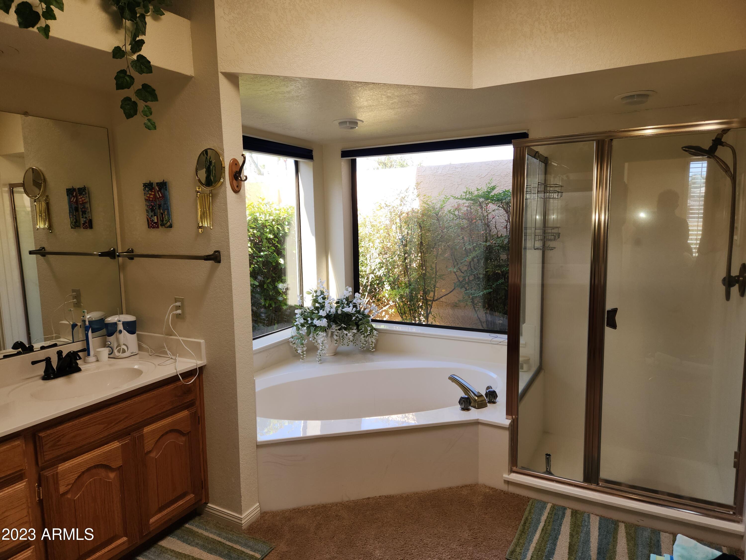 18709 East Avenida Del Ray Rio Verde, AZ 85263 - Photo 19 of 49 AVENIDA DEL RAY SUSAN BATHTUB