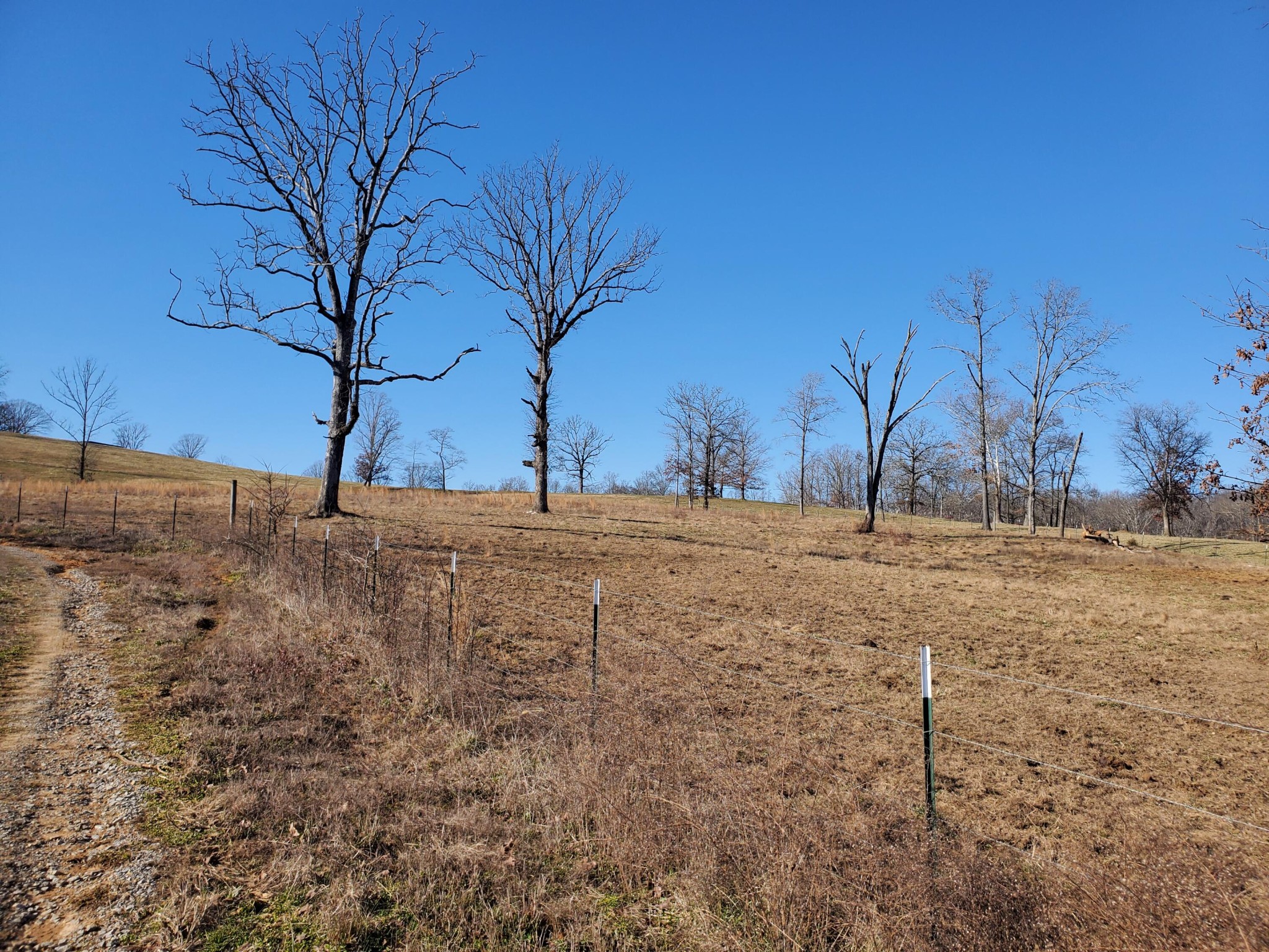 0 Neergaard Road Dunlap, TN 37327 - Photo 2 of 5 Gallery Image 2