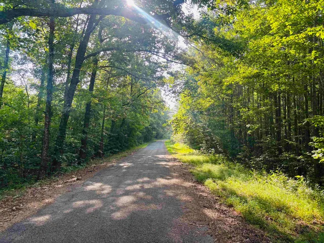 $100,000 | 0 Old Lula Road, Reagan, TN 38368