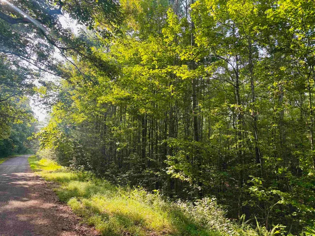 $100,000 | 0 Old Lula Road, Reagan, TN 38368
