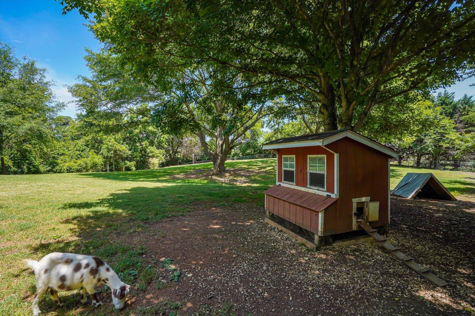 1213 Disco Loop Road Friendsville, TN 37737 - Photo 8 of 65 50-1213 Disco Loop Rd-50