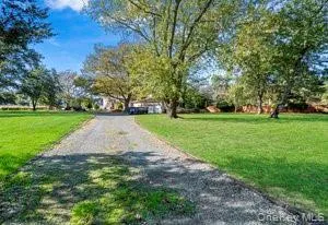 a view of a park with large trees