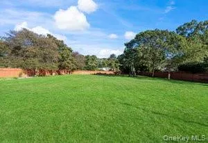 a view of yard with grass & street