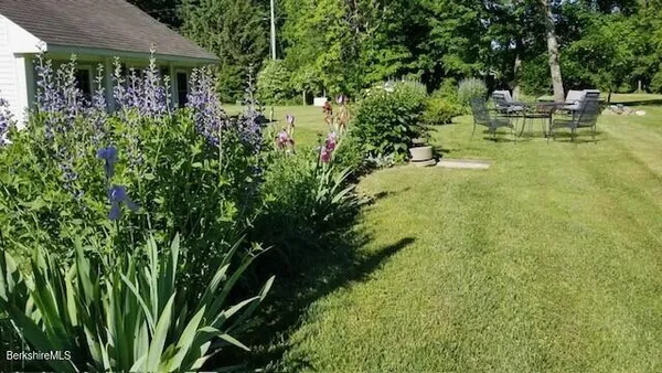 a view of a backyard