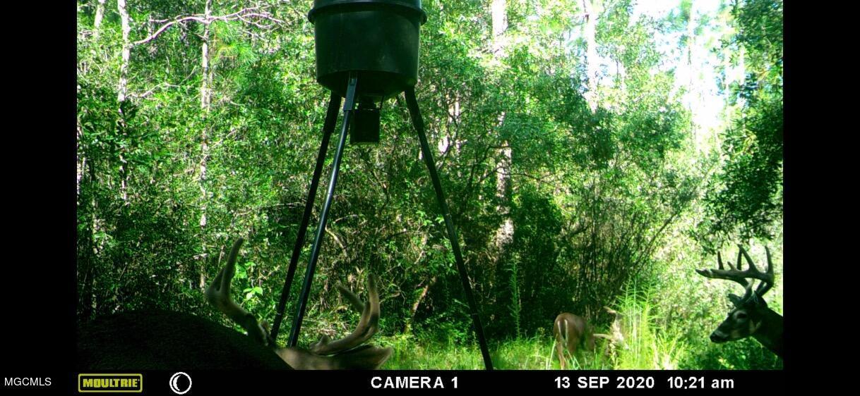 5504 Hoda Road Kiln, MS 39556 - Photo 9 of 20 A064195B-CA8B-4B2B-A406-066CE2C8E933