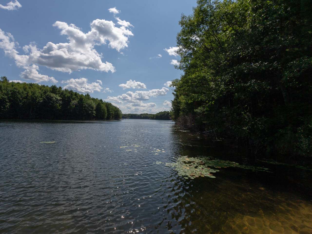 8061 Heron Road Lake Tomahawk, WI 54539 - Photo 24 of 42 Gallery Image 24