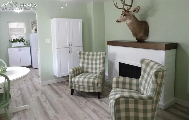 a living room with furniture and a fireplace