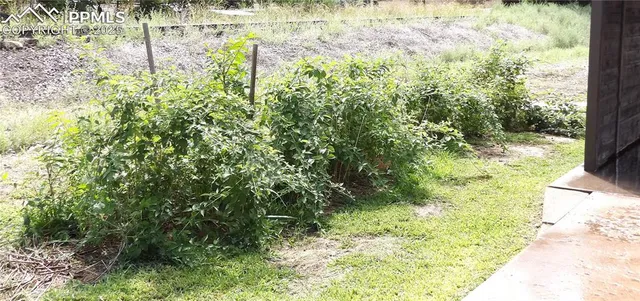 a view of yard with green space