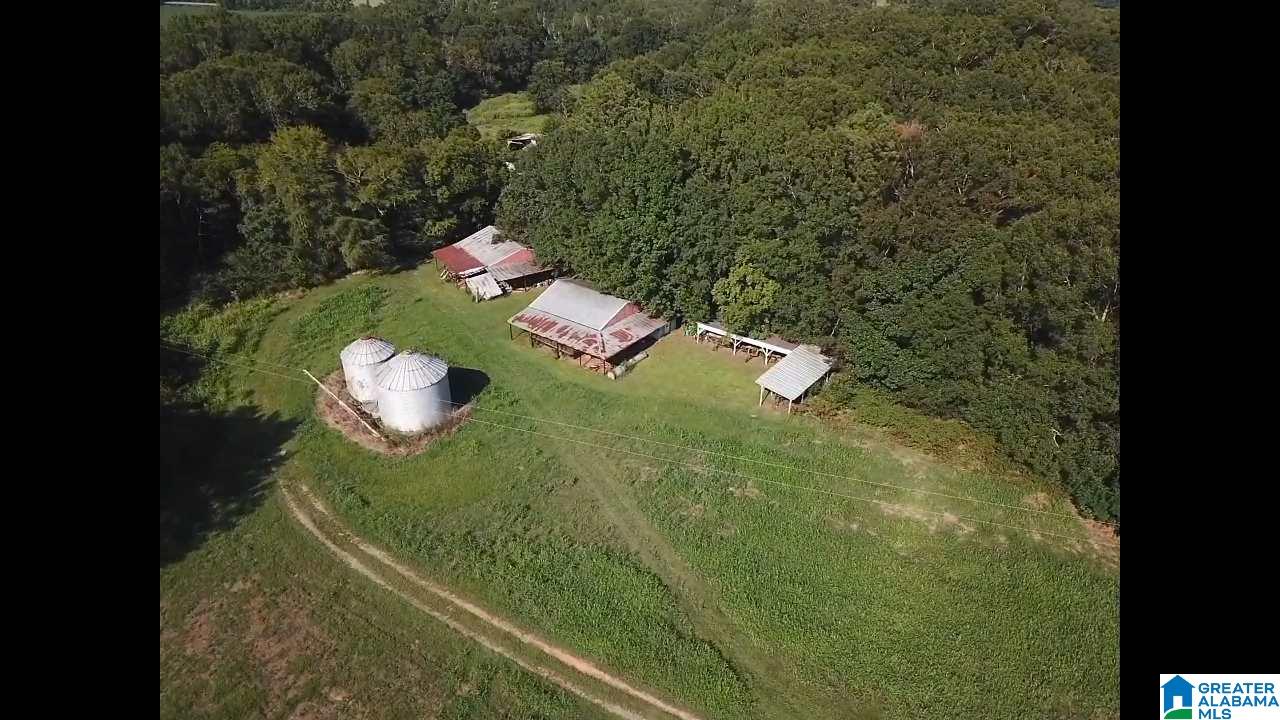 160 Strickland Lane Alpine, AL 35014 - Photo 9 of 50