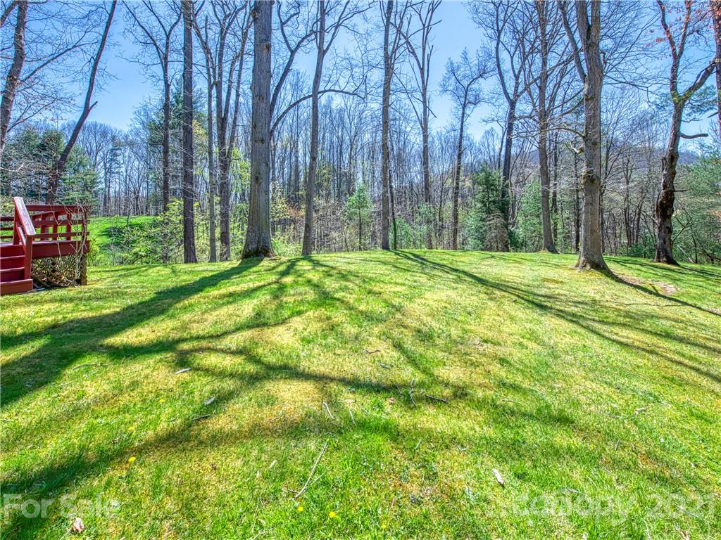 720 Iron Duff Road Waynesville, NC 28785 - Photo 7 of 37 a view of a yard with an tree