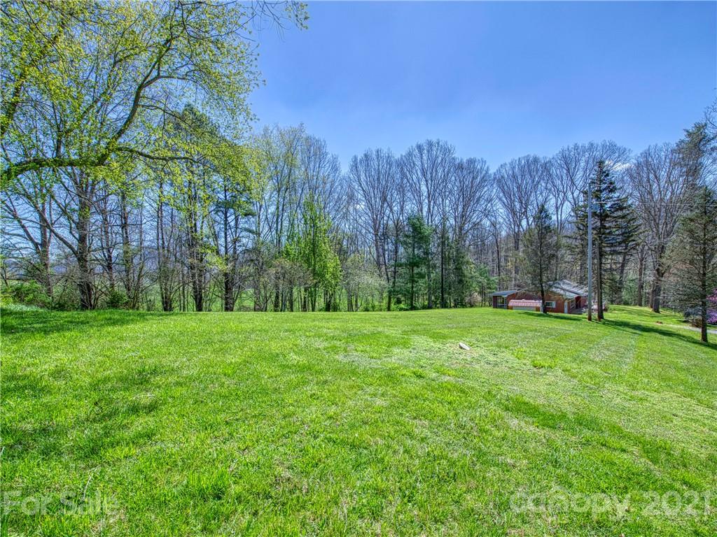 720 Iron Duff Road Waynesville, NC 28785 - Photo 9 of 37 a view of a grassy field with trees in the background