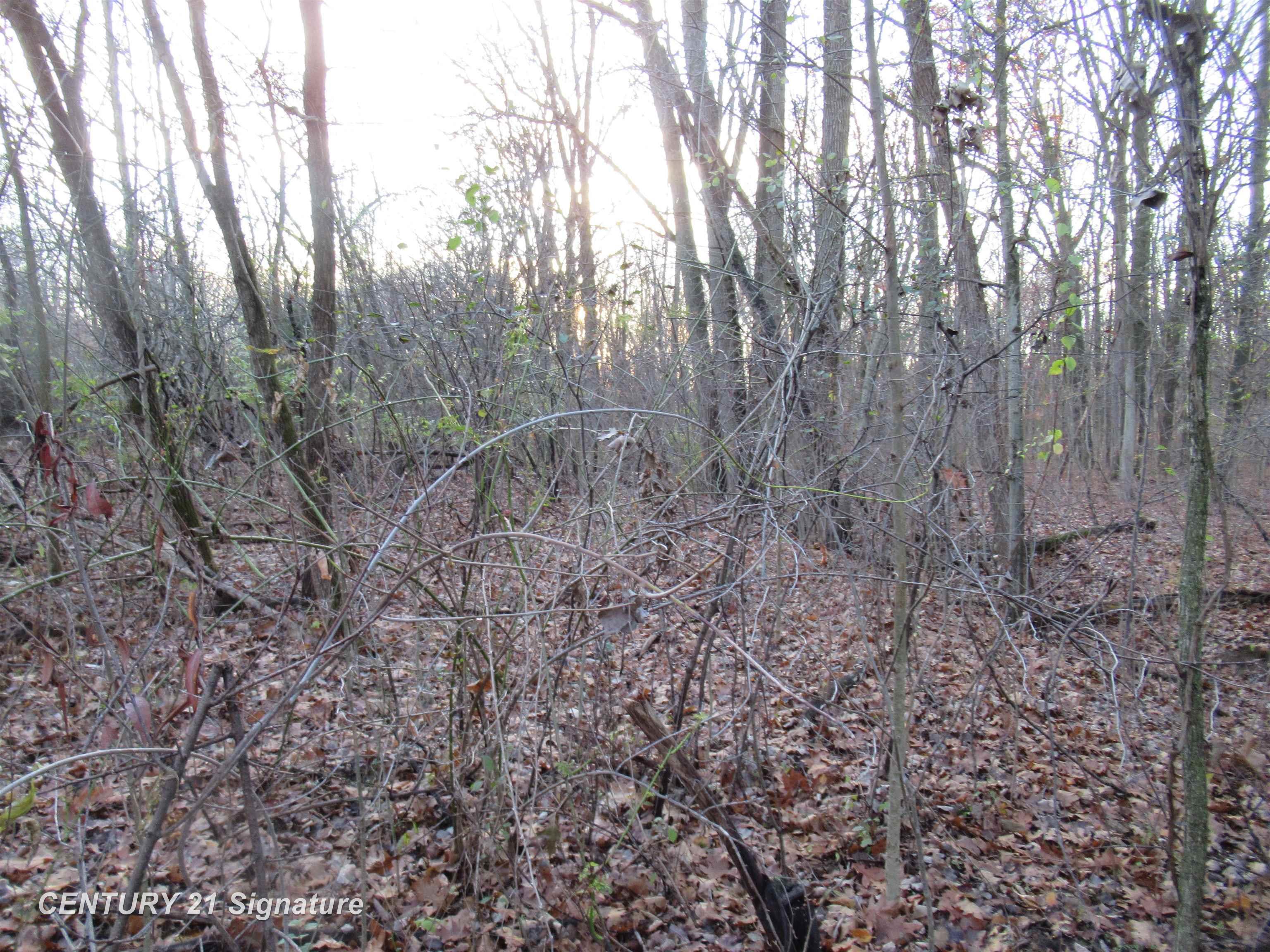 9119 North Seymour Road Flushing, MI 48433 - Photo 8 of 12
