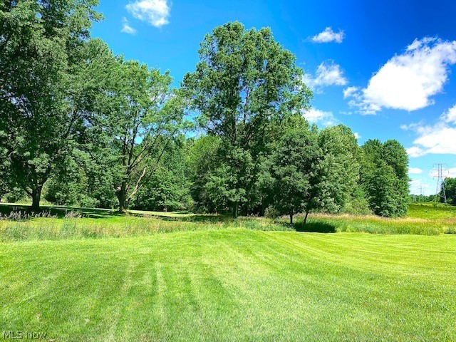 852 Carson Salt Springs Road Warren, OH 44481 - Photo 7 of 21 Gallery Image 7