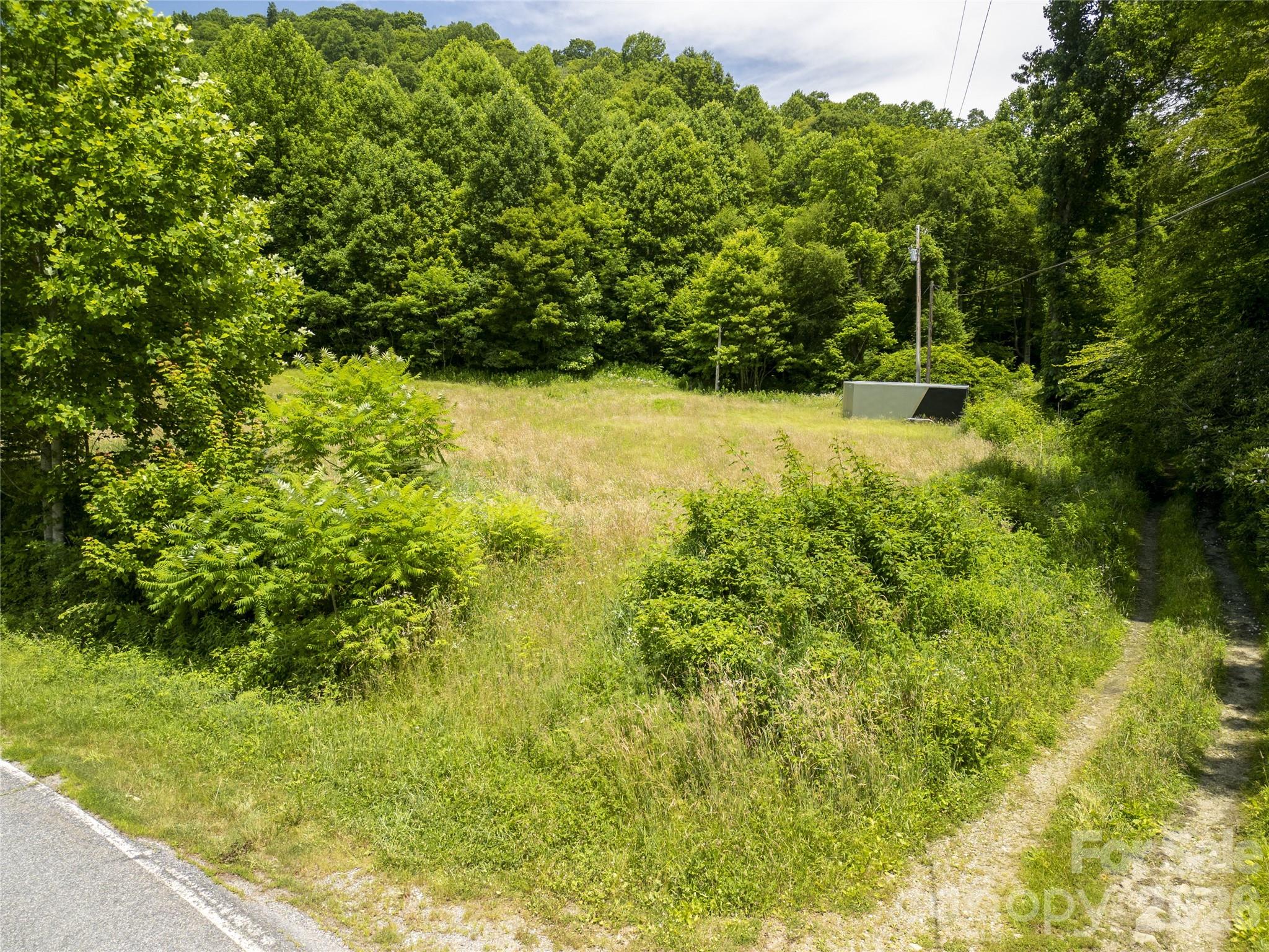 168 Smith Creek Road Mars Hill, NC 28754 - Photo 11 of 46