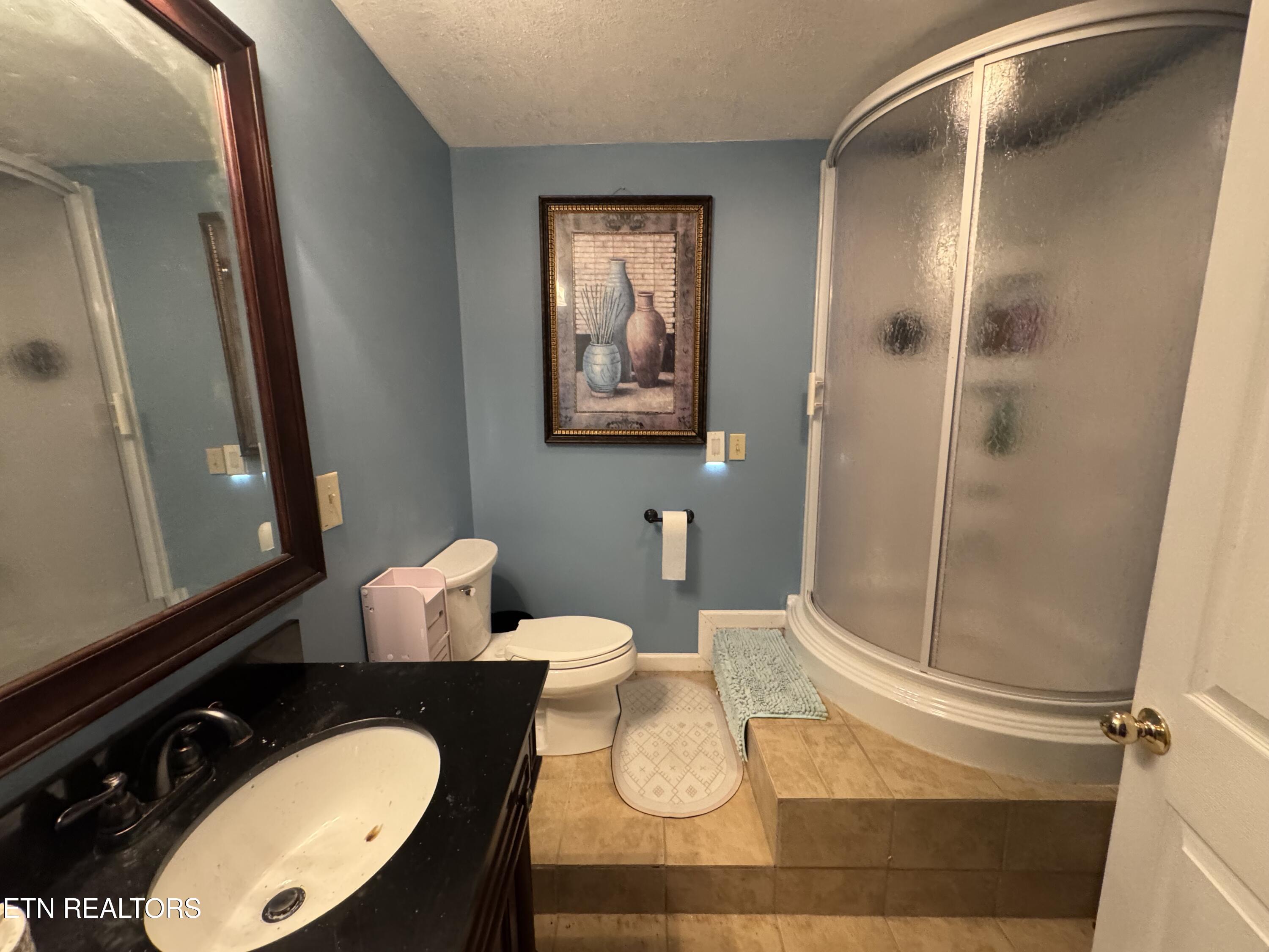 2961 Forge Ridge Road Harrogate, TN 37752 - Photo 27 of 42 Basement Bath