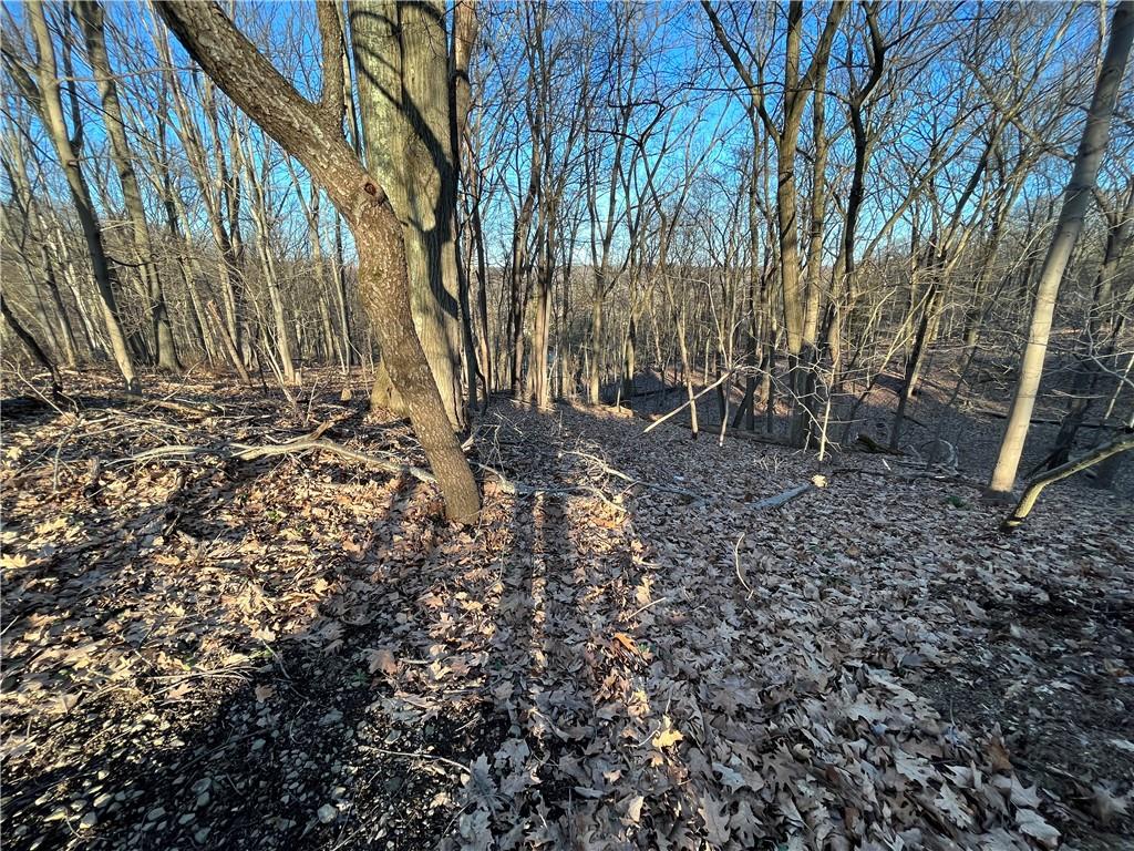 Lot 1 Hardt Road Gibsonia, PA 15044 - Photo 3 of 6 Gallery Image 3
