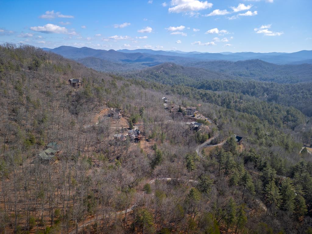 101 Falling Rock Road Blue Ridge, GA 30513 - Photo 53 of 64