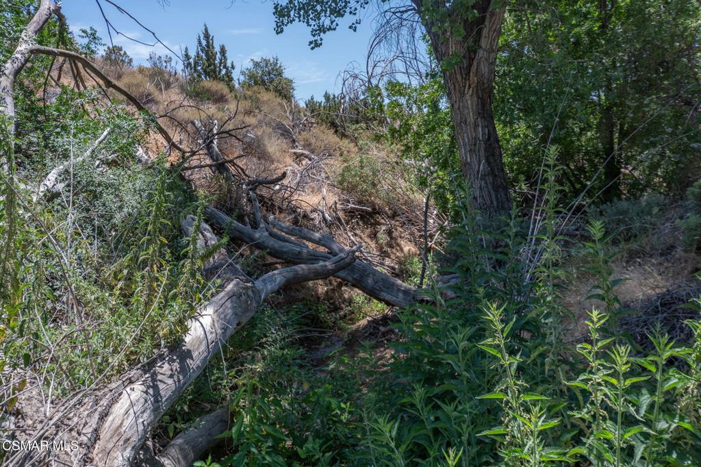 Big Springs Road Road Acton, CA 93510 - Photo 28 of 37 Big Springs Road, 22 Acres