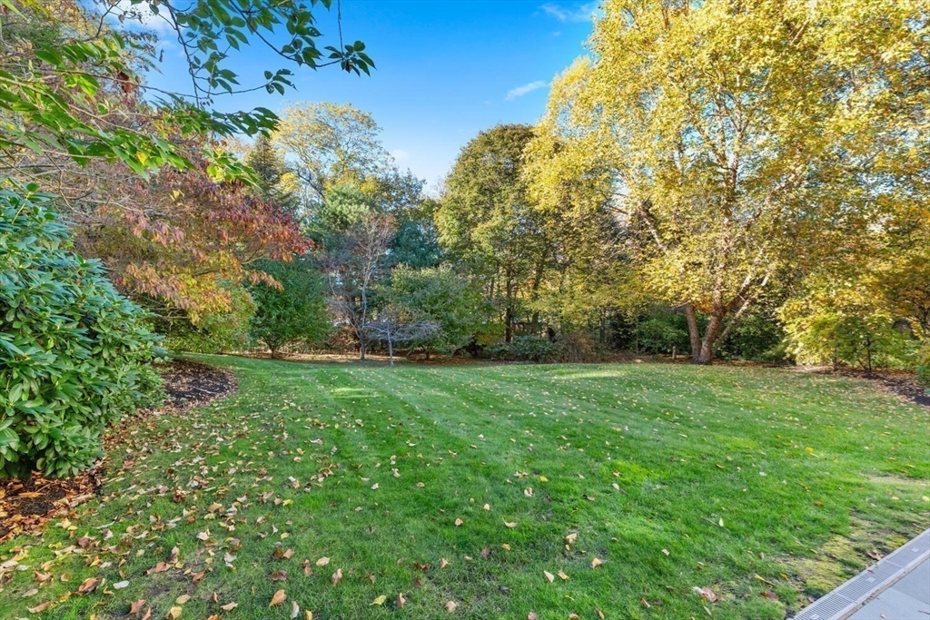 209 Waltham Street Lexington, MA 02421 - Photo 37 of 41 Gallery Image 37