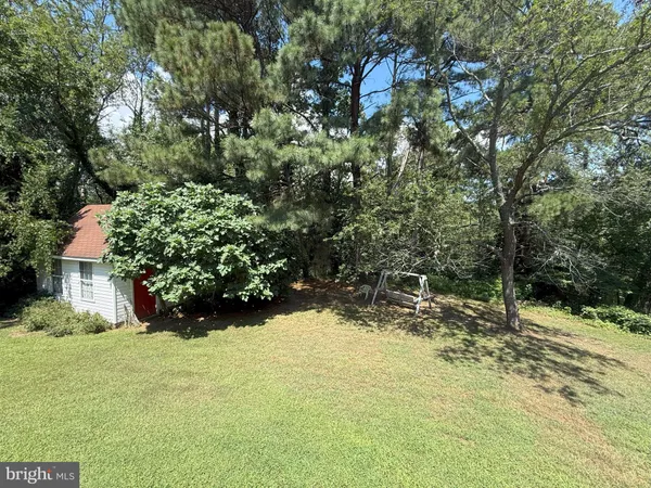 a view of a yard with large trees