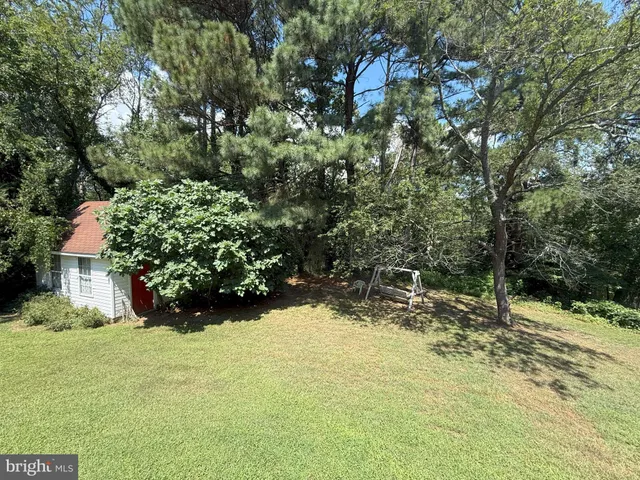 a view of a yard with large trees