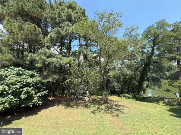 a view of a yard with plants