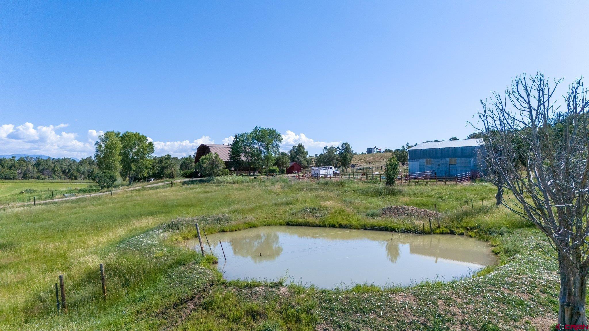 3515 County Road 514 Ignacio, CO 81137 - Photo 12 of 35 a view of a water pond with green yard