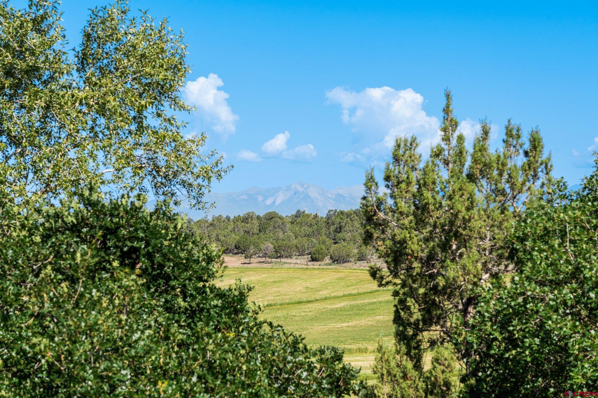 3515 County Road 514 Ignacio, CO 81137 - Photo 13 of 35