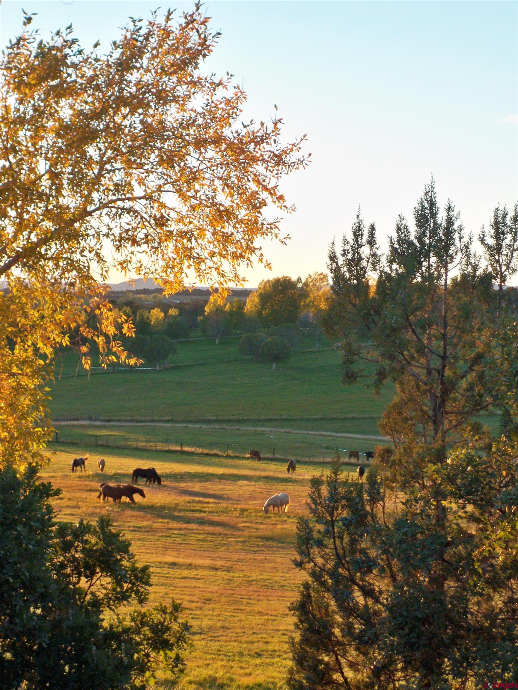 3515 County Road 514 Ignacio, CO 81137 - Photo 34 of 35 a view of a lake view