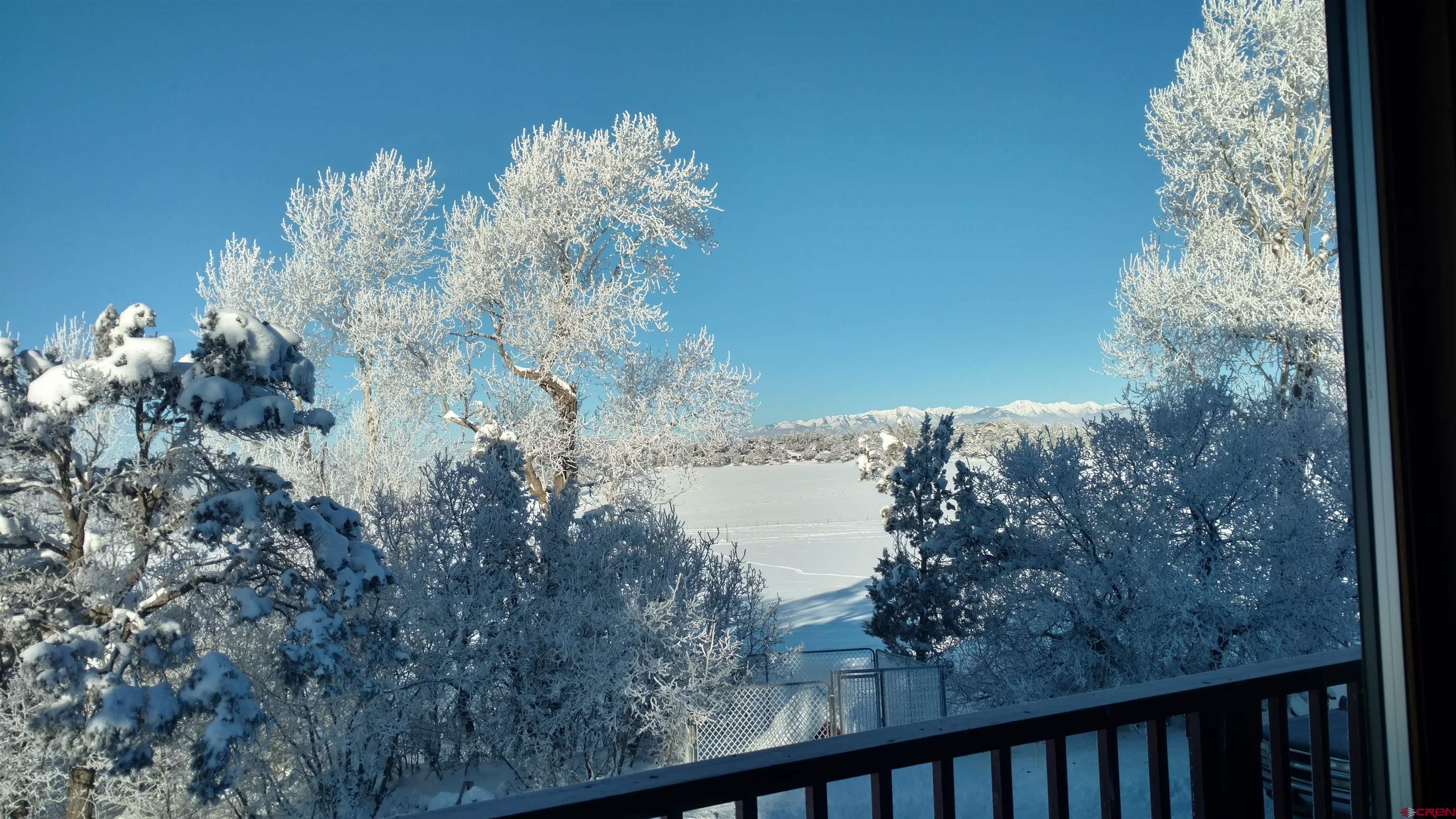 3515 County Road 514 Ignacio, CO 81137 - Photo 35 of 35 a view of a forest from a balcony
