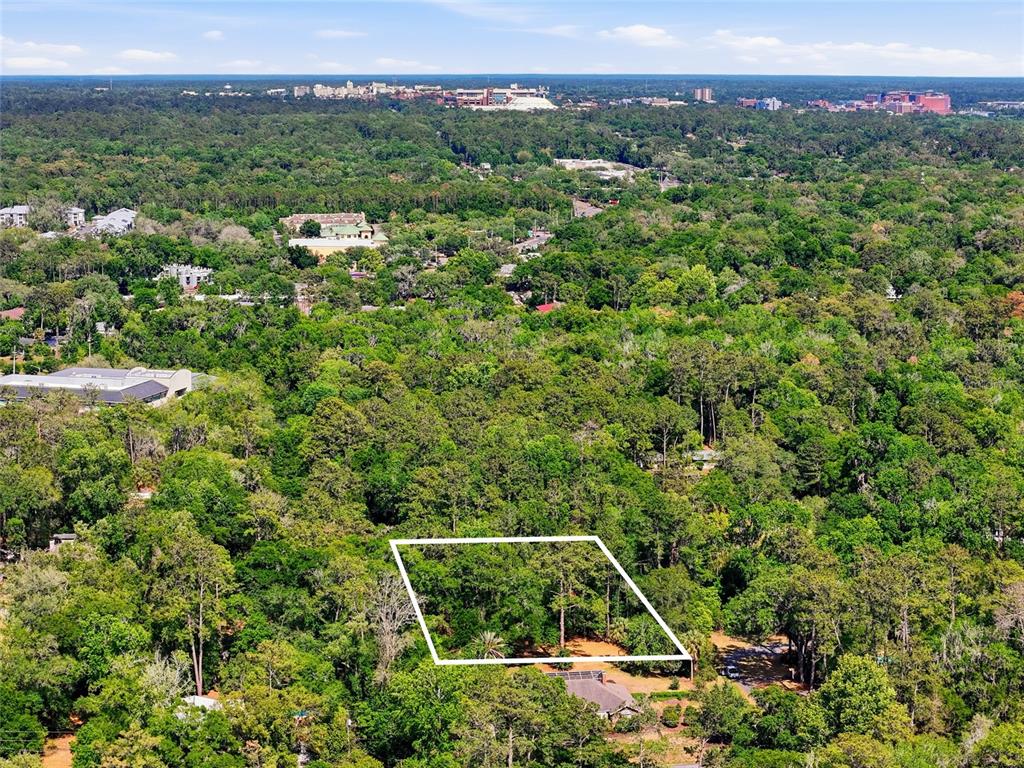 0 Northwest 45th Street Gainesville, FL 32607 - Photo 12 of 14 a view of a forest with a street