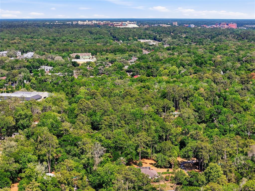 0 Northwest 45th Street Gainesville, FL 32607 - Photo 13 of 14 a view of a lush green forest with trees and houses