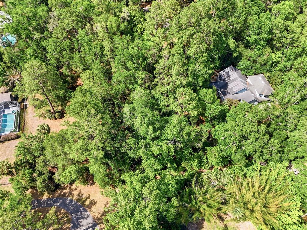 0 Northwest 45th Street Gainesville, FL 32607 - Photo 14 of 14 a view of a house in a forest