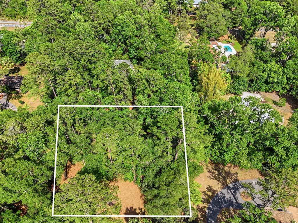 0 Northwest 45th Street Gainesville, FL 32607 - Photo 2 of 14 a view of a forest