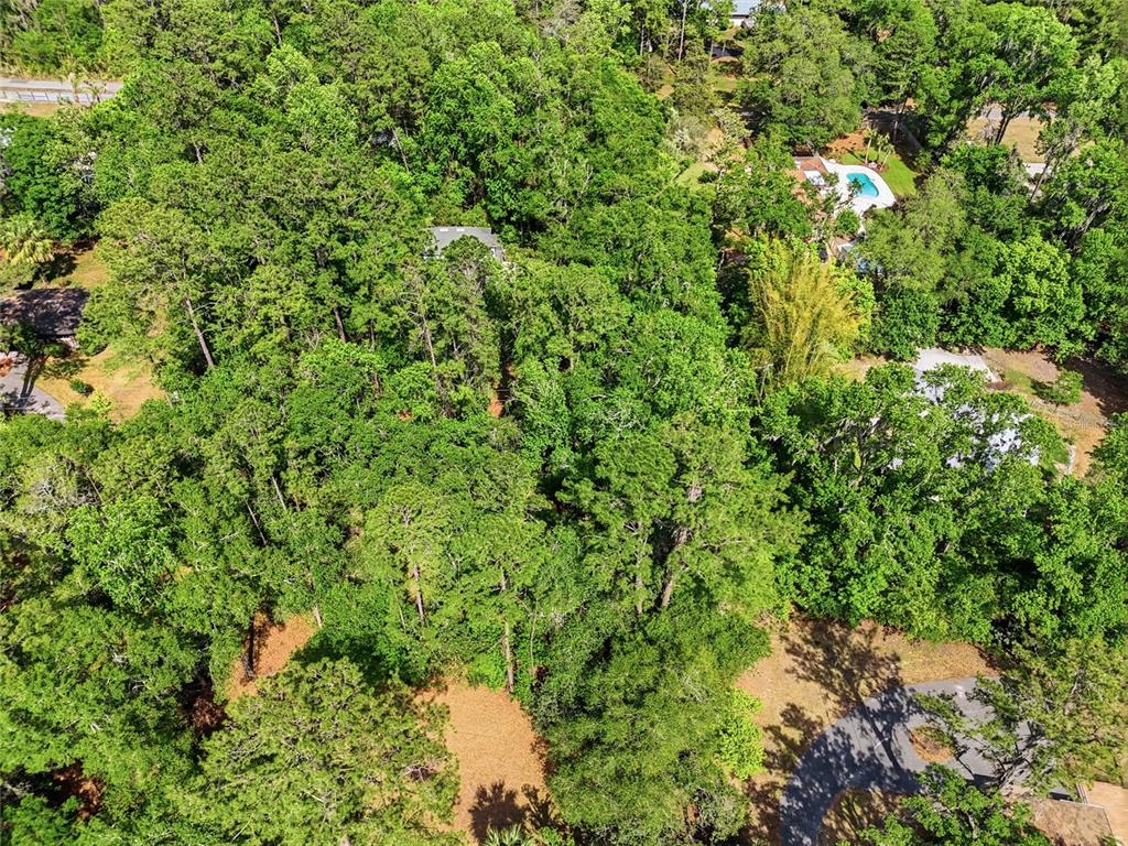 0 Northwest 45th Street Gainesville, FL 32607 - Photo 3 of 14 a view of a lush green forest with lots of trees