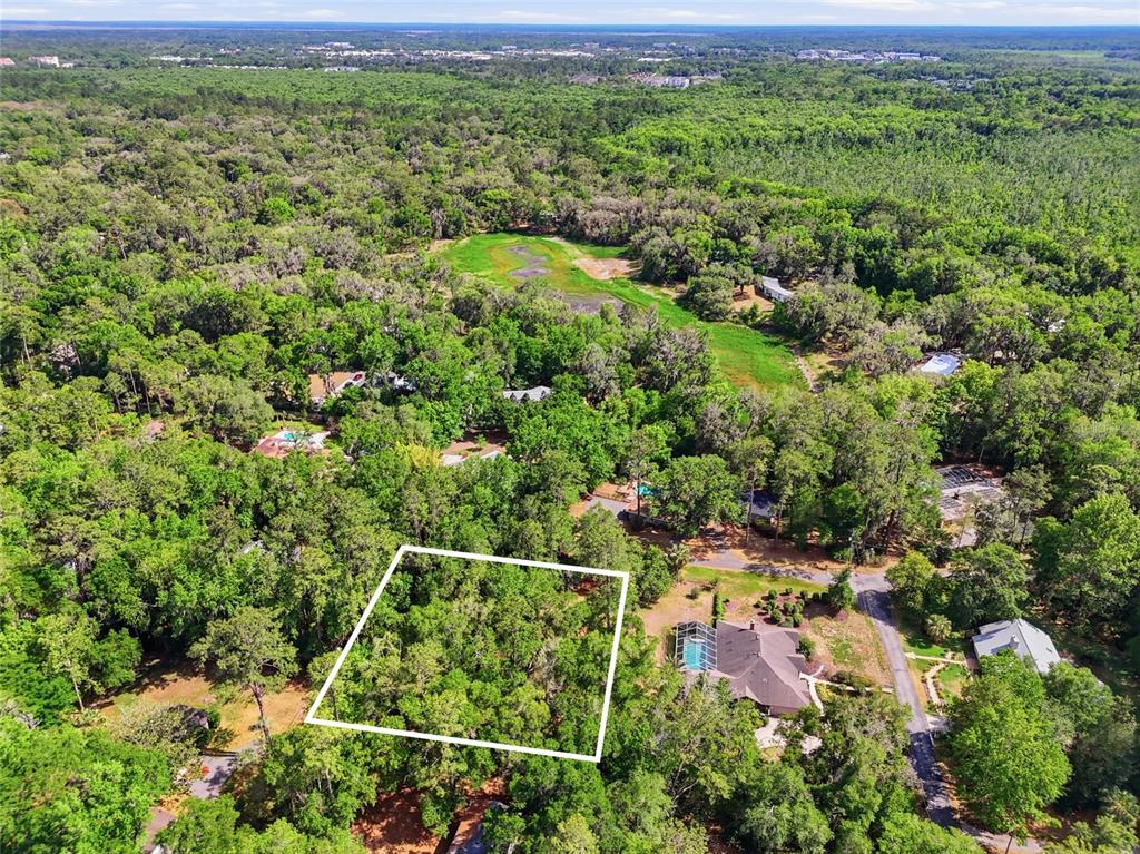 0 Northwest 45th Street Gainesville, FL 32607 - Photo 8 of 14 a view of a lush green field