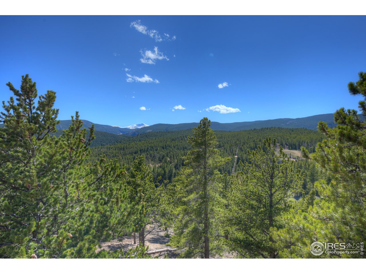 23 Ridge View Road Nederland, CO 80466 - Photo 13 of 38 a view of a lush green space