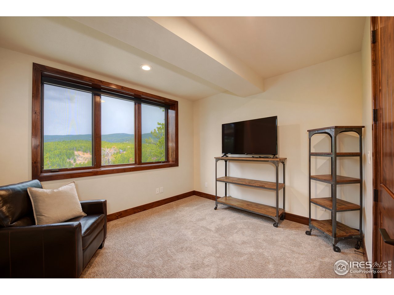 23 Ridge View Road Nederland, CO 80466 - Photo 31 of 38 a living room with furniture and a flat screen tv