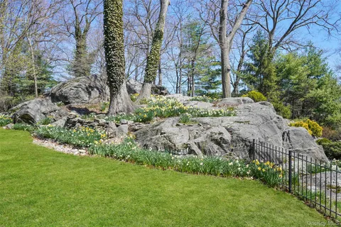 a view of backyard with green space