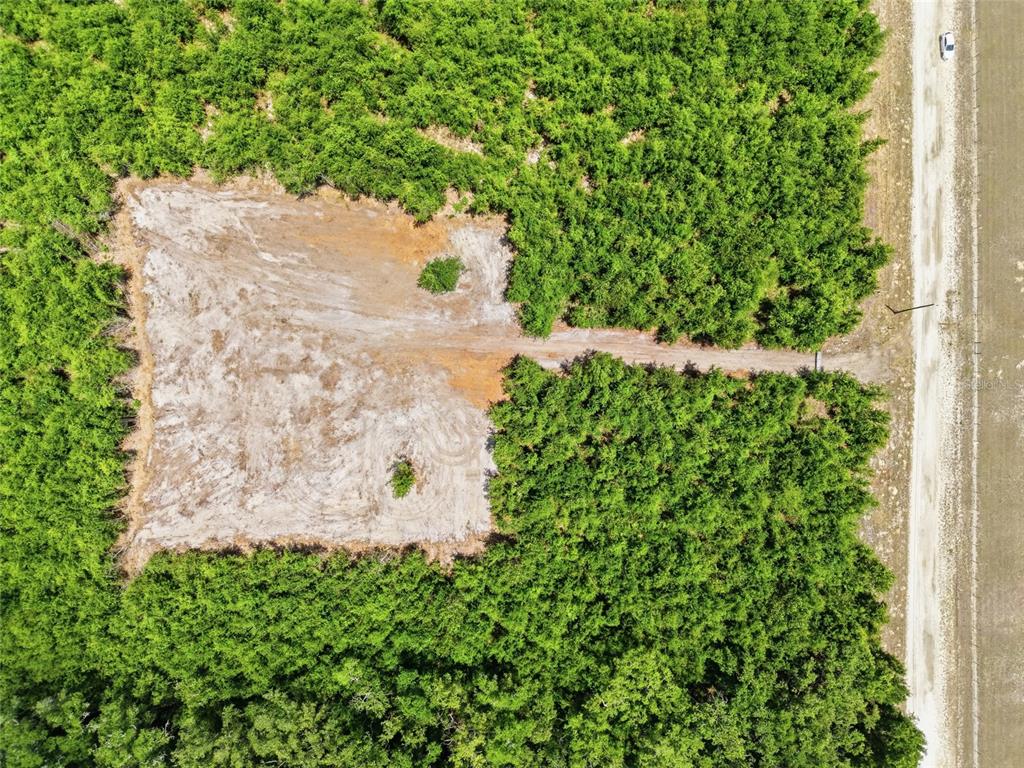Southwest 188th Street Archer, FL 32618 - Photo 17 of 20 a view of a tree with a yard