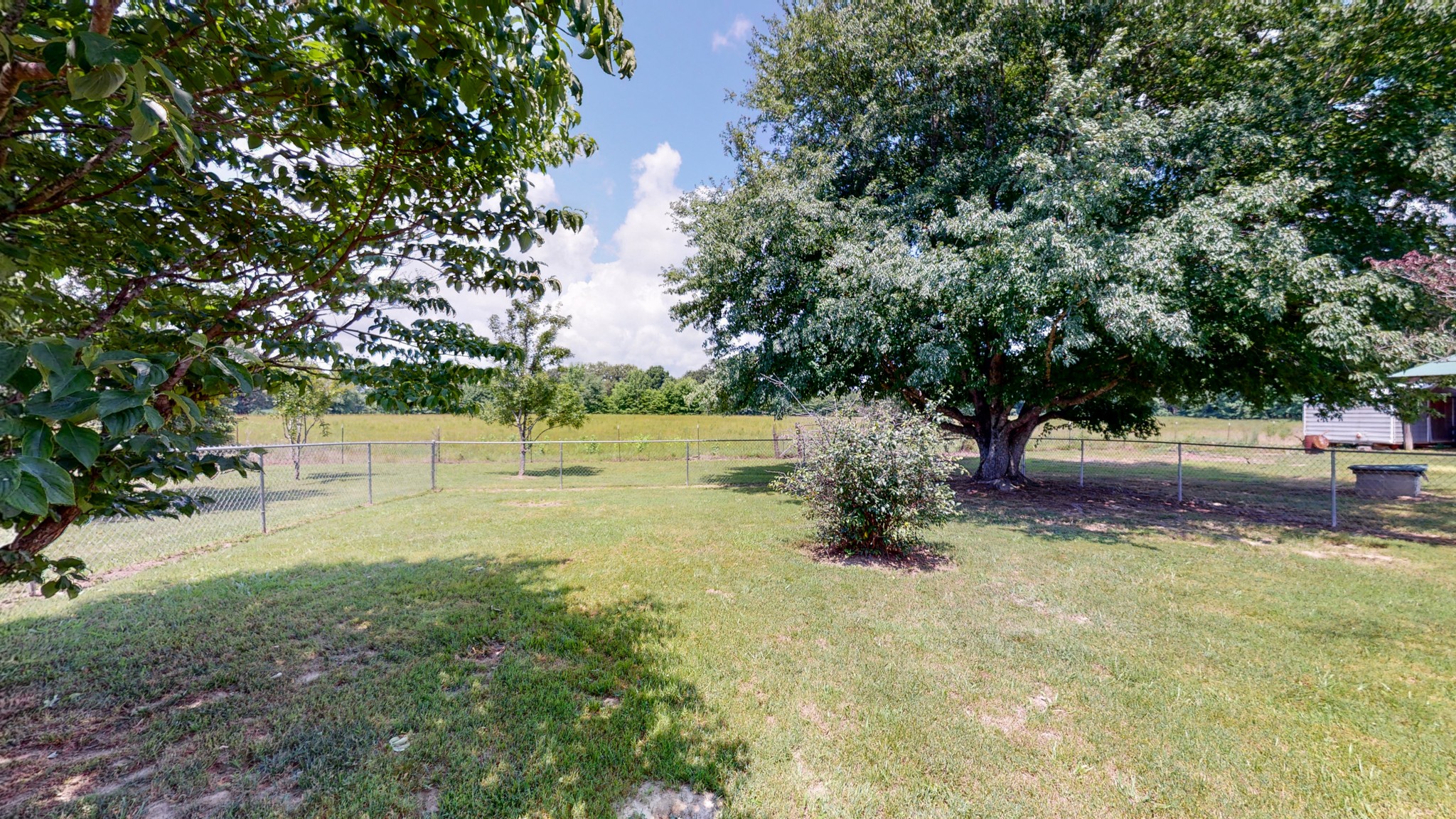 83 Hotel Road Flintville, TN 37335 - Photo 28 of 39 a view of backyard with tree