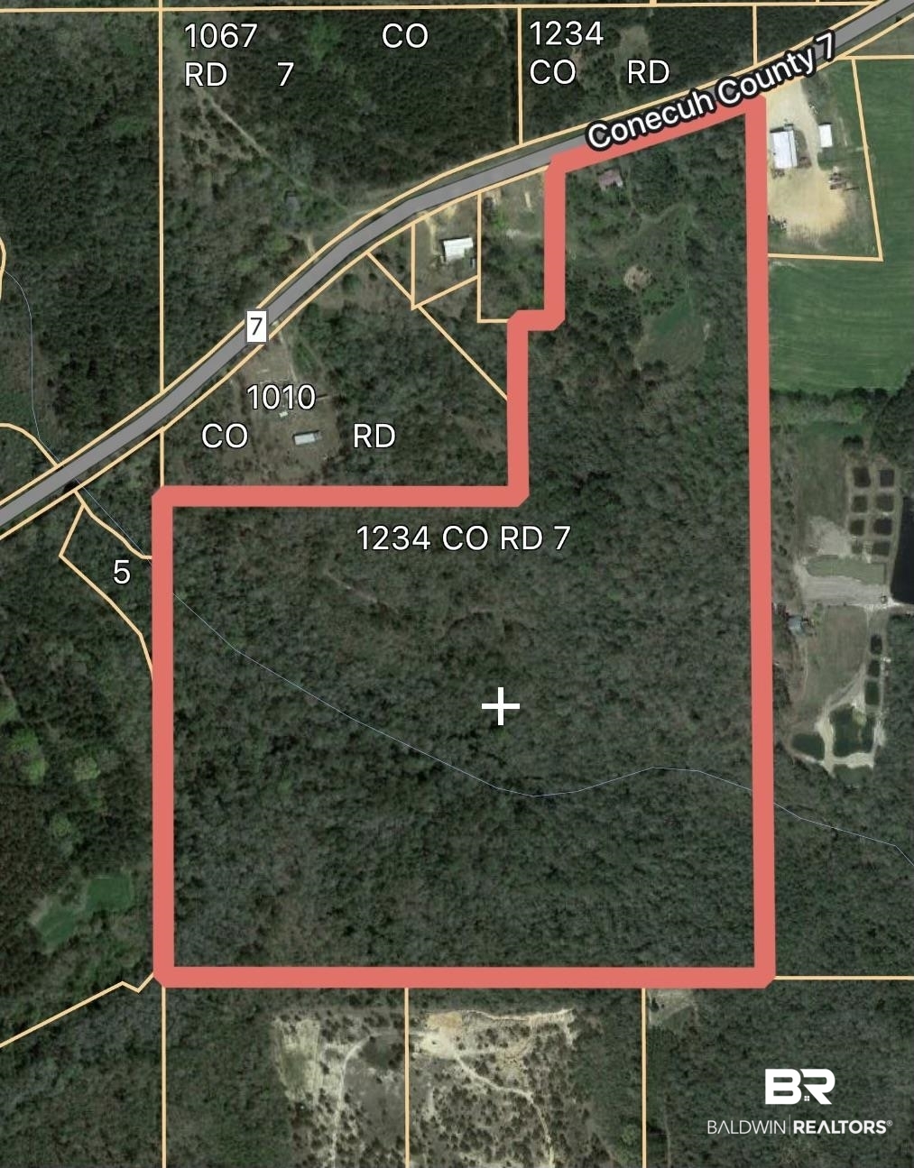 1234 County Road 7 Range, AL 36473 - Photo 2 of 12