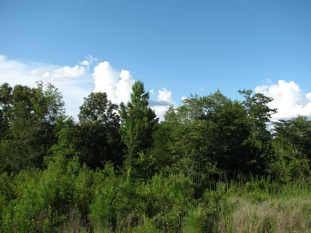 a close up of a house