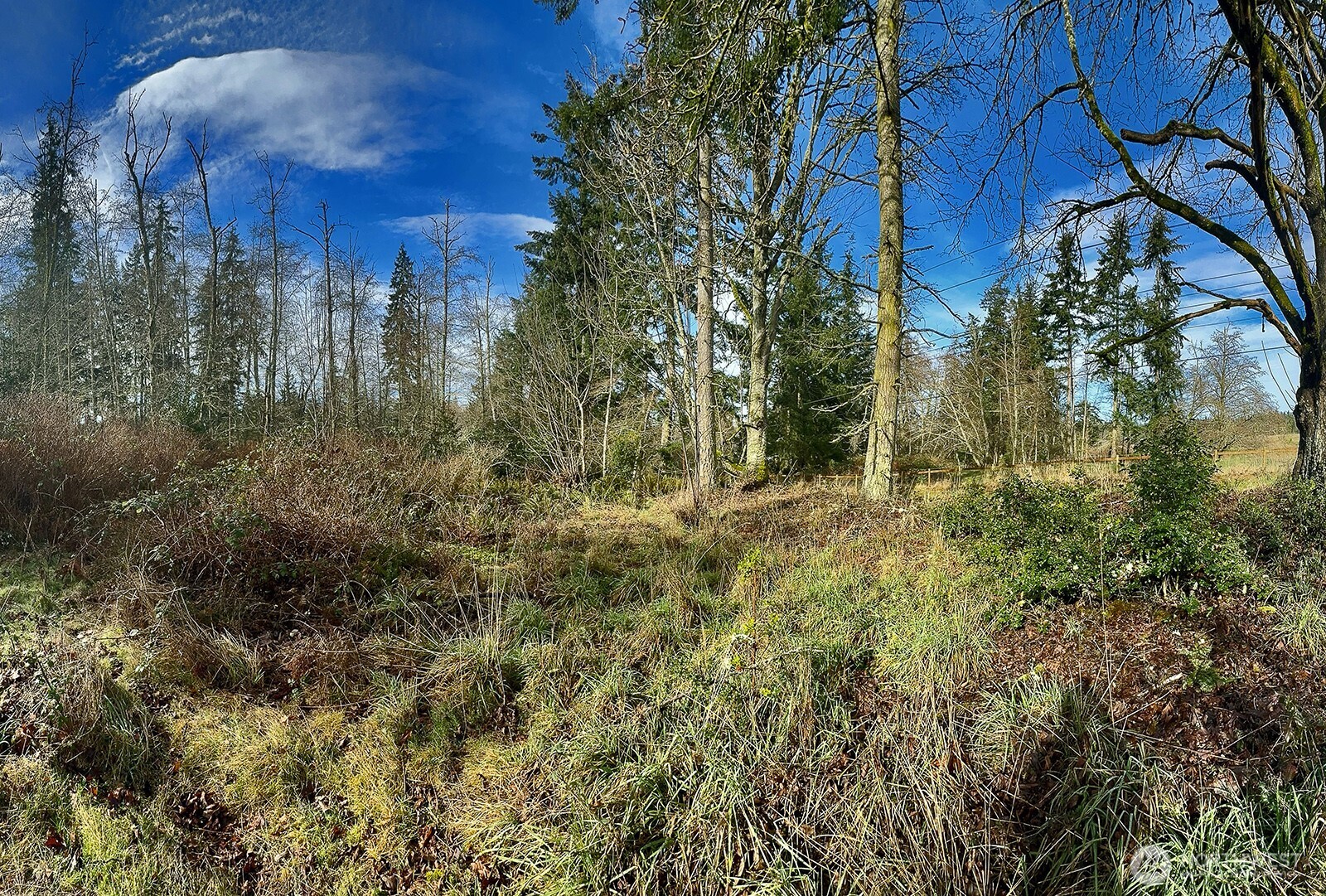 0 East Goss Lake Road Freeland, WA 98249 - Photo 16 of 18 a view of a yard with a house