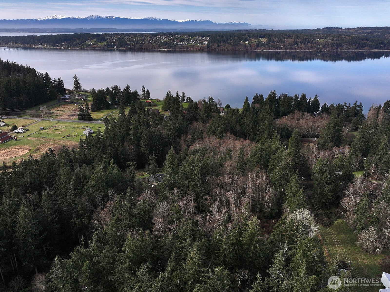 0 East Goss Lake Road Freeland, WA 98249 - Photo 18 of 18 a view of lake