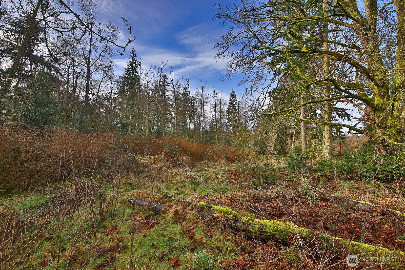 0 East Goss Lake Road Freeland, WA 98249 - Photo 3 of 18 a view of river covered with trees